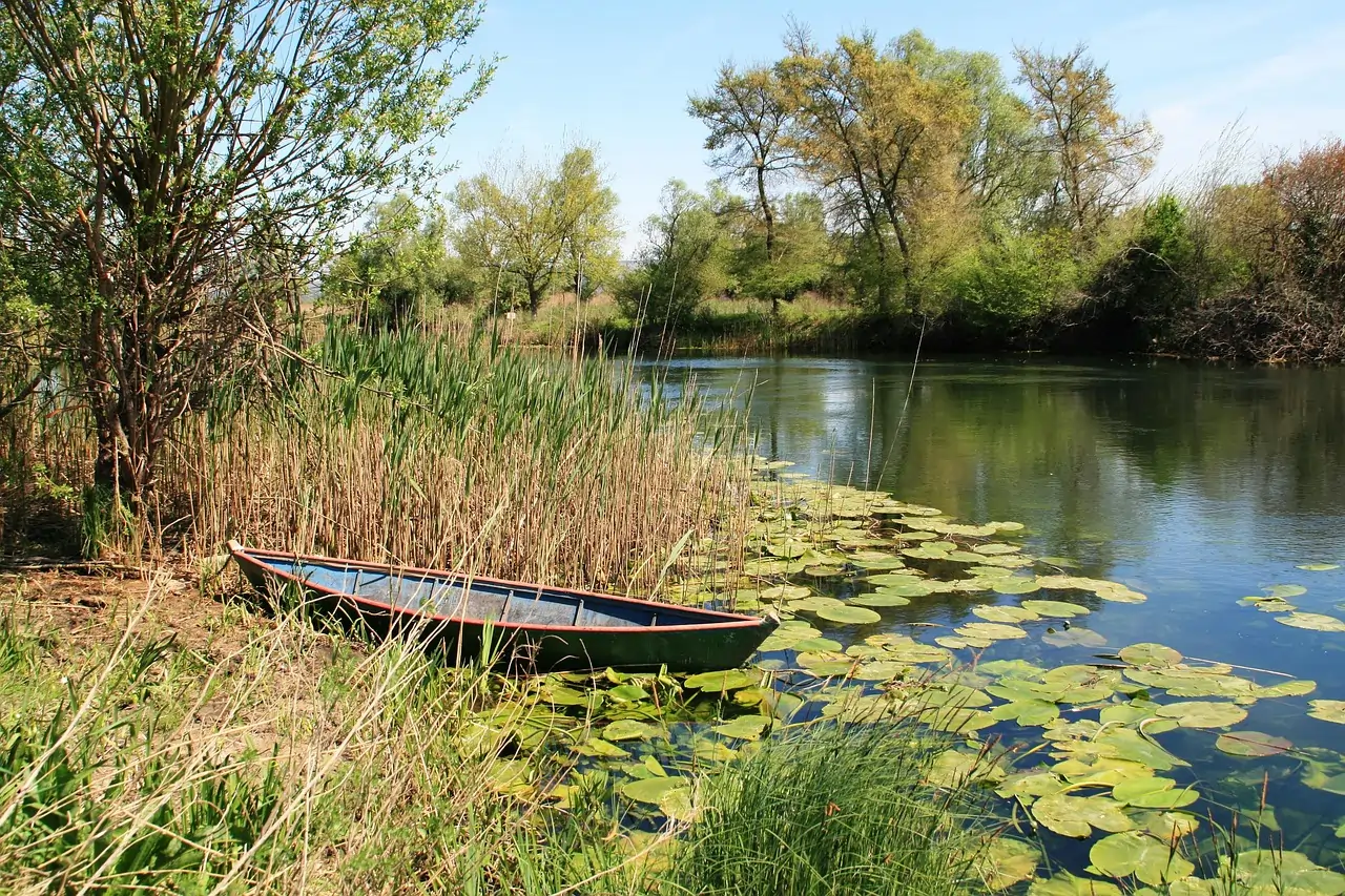 Pogled močvarno područje Parka prirode Hutovo blato sa rijekom i zelenilom