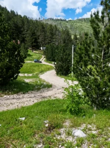 Access road surrounded by greenery and pine trees at Rujište picnic area