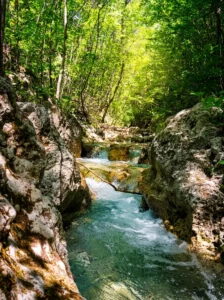 A fast, crystal-clear turquoise stream flowing through a rocky bed and between rocks, surrounded by dense green forest bathed in sunlight