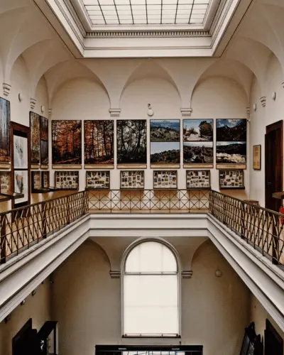 Zemaljski muzej Bosne i Hercegovine