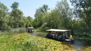 Turisti na vožnji brodicom kroz vegetaciju Parka prirode Hutovo blato