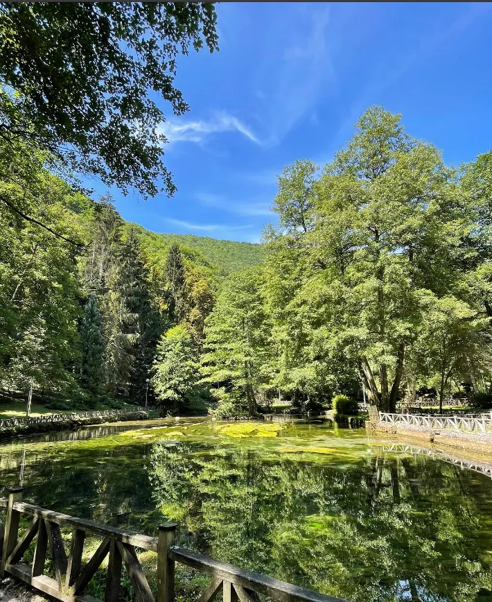 Bujna zelena priroda i odraz drveća u vodi na Vrelu Bosne