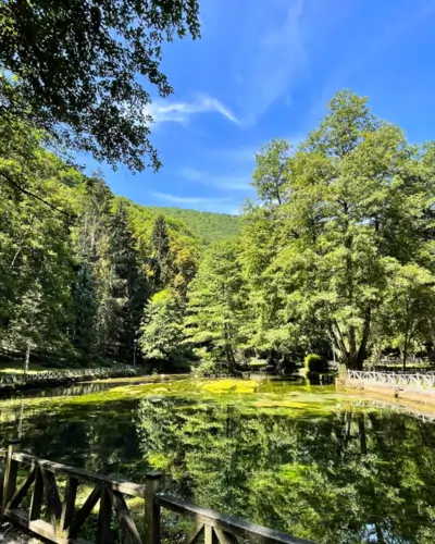 Vrelo Bosne
