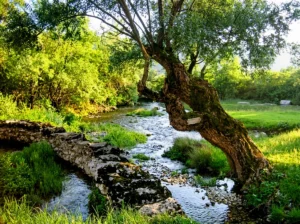 Vrijeka River Bileća