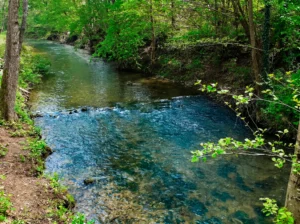 Klares Wasser des Bächleins Strigova, umgeben von Grün und Bäumen