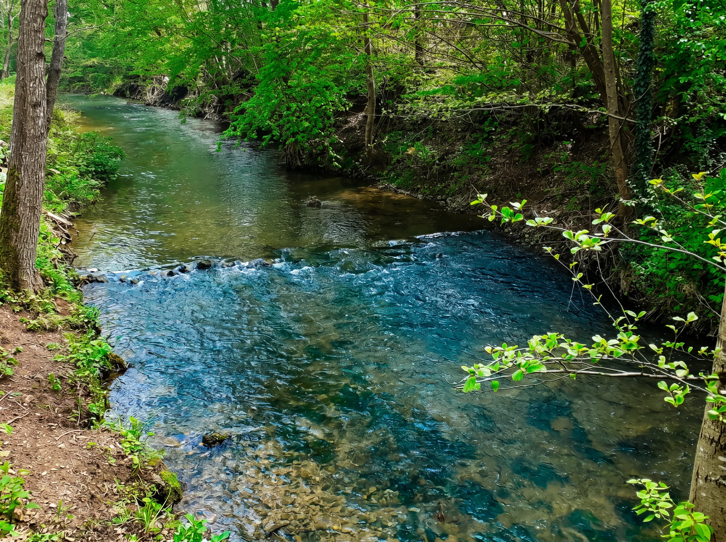 Klares Wasser des Bächleins Strigova, umgeben von Grün und Bäumen