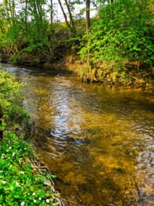 Natürlicher Verlauf und Flussbett des Bächleins Strigova an einem sonnigen Tag