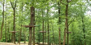Drvene penjalice i užad između visokog drveća u Adrenalin parku Doboj