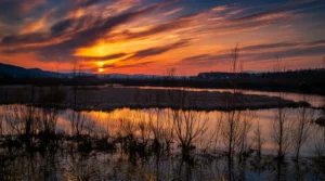 A dramatic view of the sunset above Mosorovac Pond, highlighting the natural beauty of this location