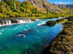 A powerful flow of bright blue water spilling over tufa barriers in a series of smaller, parallel waterfalls, surrounded by green trees on the banks
