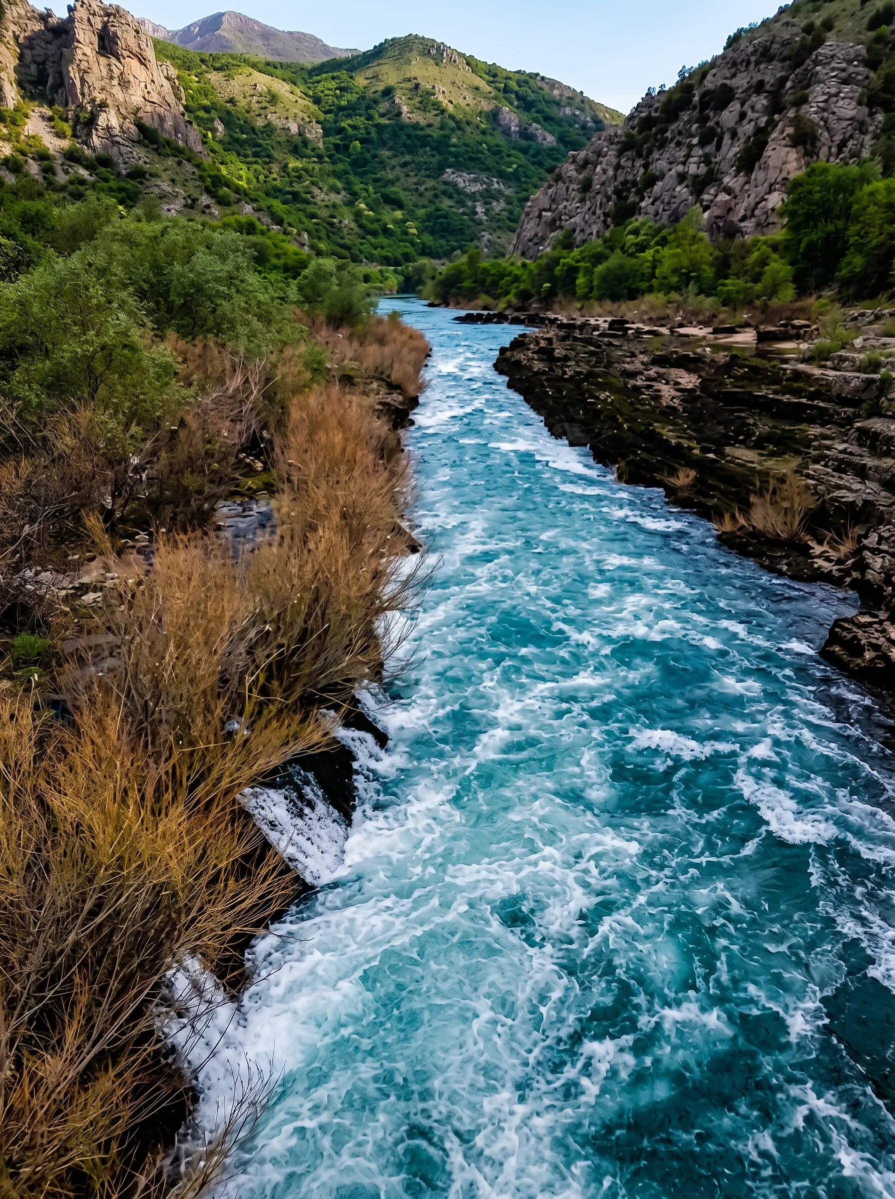 Powerful foamy white water rushing through the narrow, rocky gorge of the Buna Channels, framed by wild dry and green shrubs