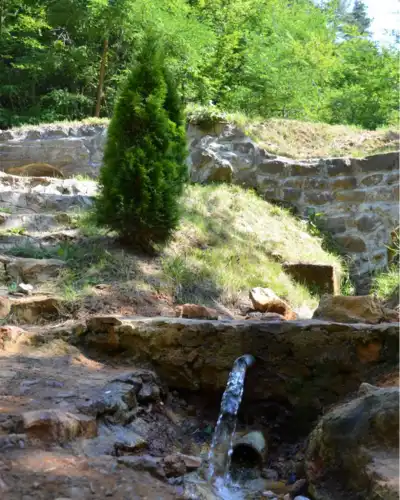 Guber banja