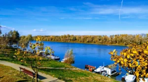 Riverbank and green area of Ficbajer Picnic Area during a sunny day