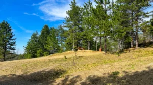 A grassy area with benches for resting at Rudine picnic area
