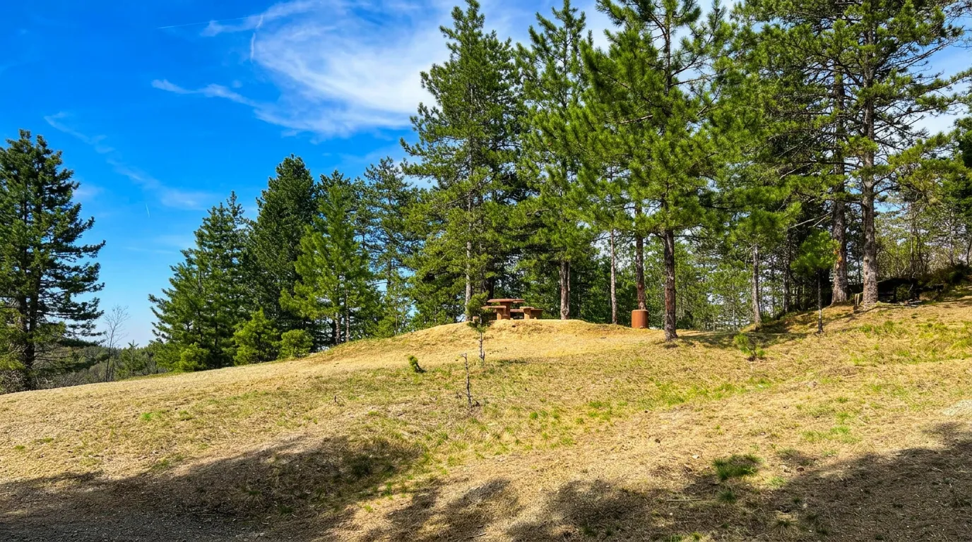 A grassy area with benches for resting at Rudine picnic area