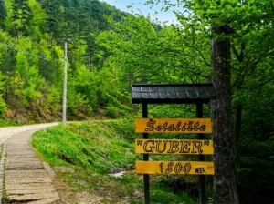 A wooden signpost for the Guber promenade in a green forest setting