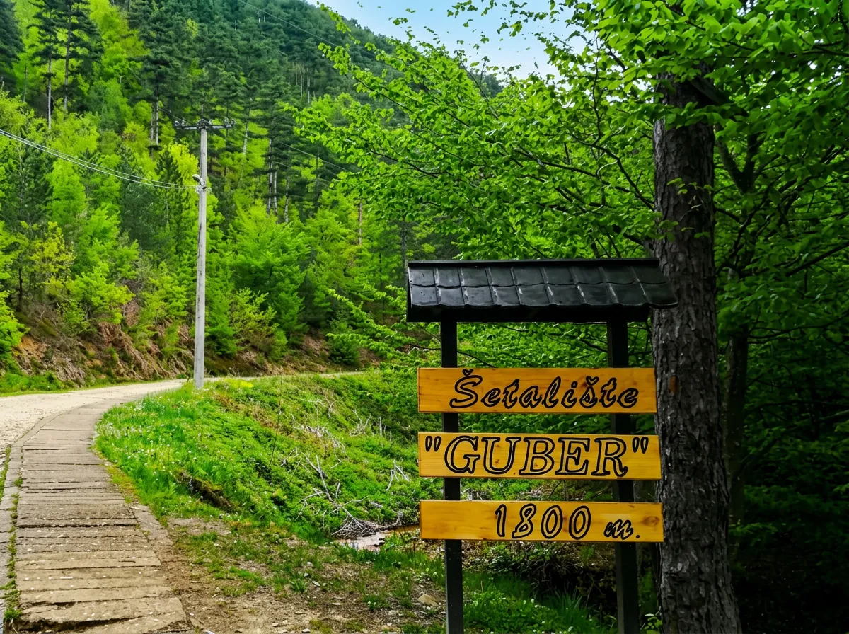 A wooden signpost for the Guber promenade in a green forest setting