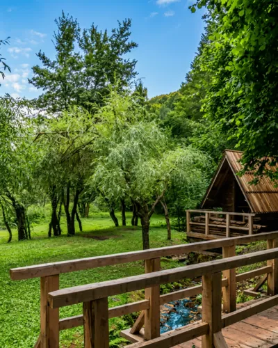 Area picnic Šujnovac
