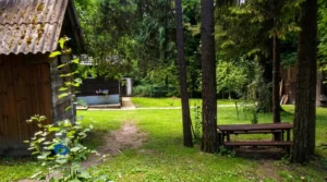 Green area with picnic benches at the Svatovac excursion site
