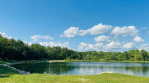 Wooded shore and the calm waters of Bistarac Lake on a sunny day