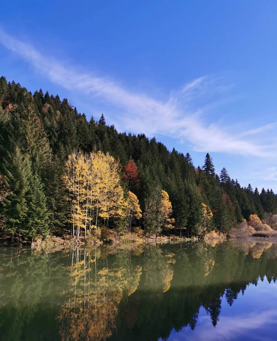 Jezero Bušija kod Glamoča u jesen, šareno jesensko lišće i refleksija drveća na vodi
