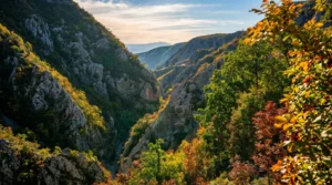 Orman ve kayalık yamaçlarla çevrili Ričina Nehri’nin etkileyici kanyonunun panoramik görünümü