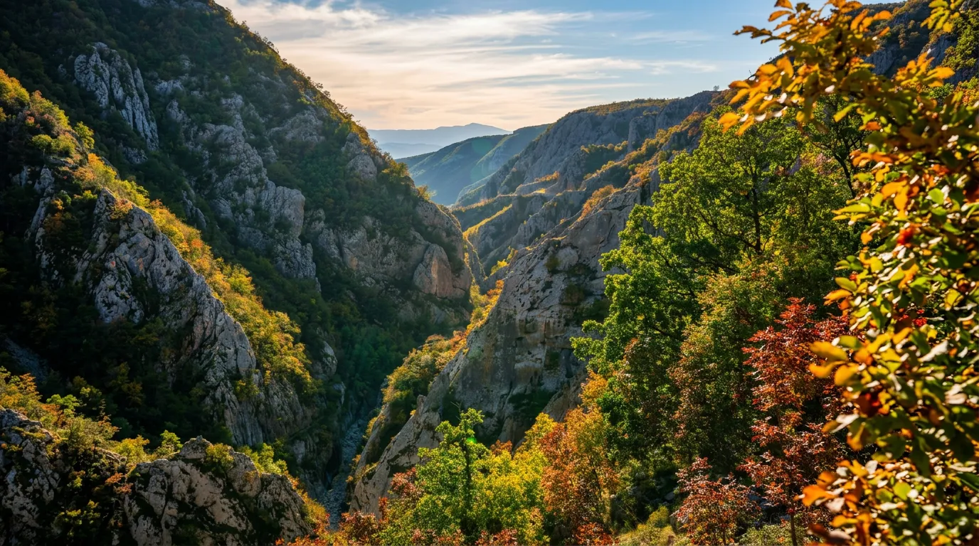 Orman ve kayalık yamaçlarla çevrili Ričina Nehri’nin etkileyici kanyonunun panoramik görünümü
