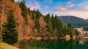 Detalj obale i četinarske šume na Kukavičkom jezeru tokom jeseni
