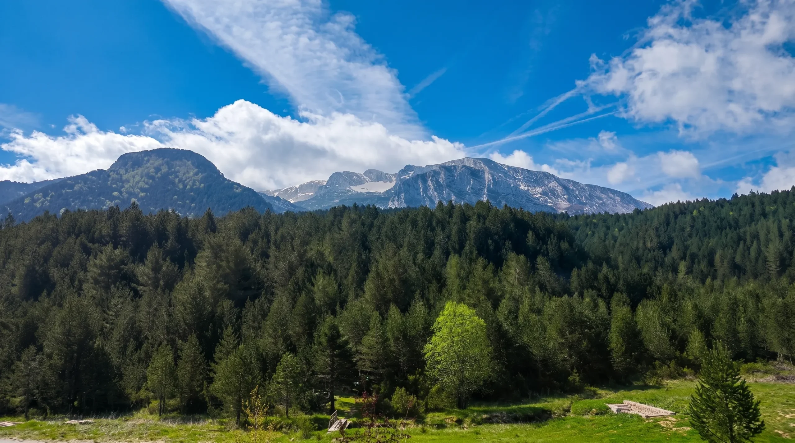 Ein dichter und üppiger Nadelwald in Masna Luka, über dem sich im Hintergrund die massiven, felsigen Gipfel der Čvrsnica unter blauem Himmel mit dünnen Wolken erheben
