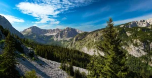 Planinski pejzaž Nacionalnog parka Sutjeska sa šumama i stjenovitim vrhovima pod plavim nebom