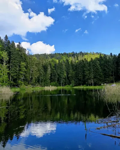 Paučko-See