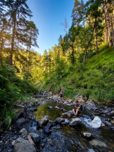 A clear and shallow mountain stream with large rocks, surrounded by steep slopes covered in dense green forest under sunbeams