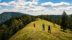 A group of hikers with backpacks walks along the ridge of a broad grassy hill on Mount Konjuh, framed by dense conifer forest and dynamic white clouds