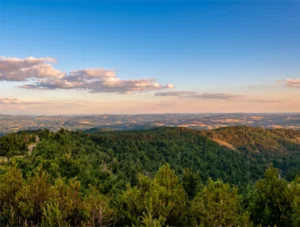 View of the wooded slopes of Ljubić mountain at sunset
