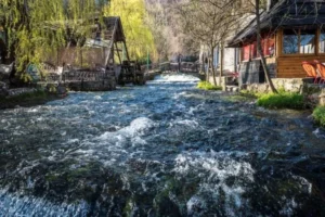 Brzaci reke Plave vode kod starog mlina u centru Travnika
