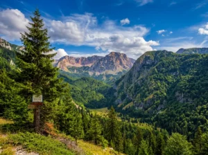 Panoramski pogled na netaknutu prirodu i zelene šume prašume Perućica