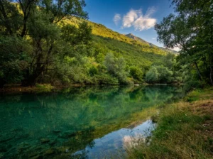 The crystal-clear, dark green surface of the Bregava River flowing calmly past lush green trees and grassy banks beneath sunlit hills