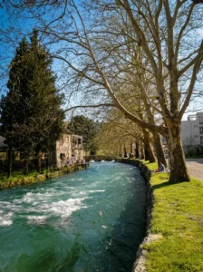 The fast, foamy, bluish flow of the Bregava River as it runs through the town of Stolac past old stone buildings and rows of tall plane trees that cast shade on the green riverbank