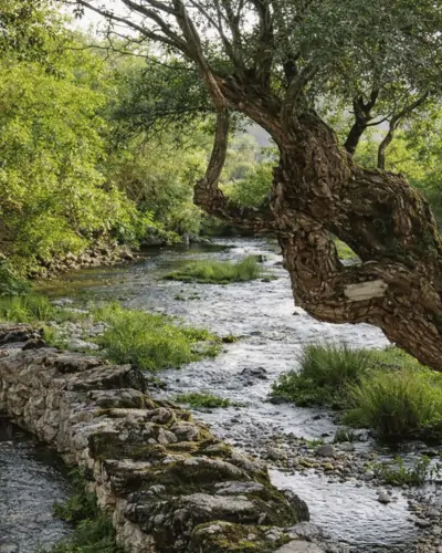 Rijeka Vrijeka (Vrioka)