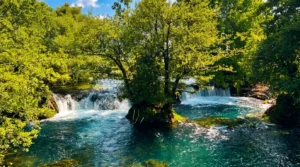 A picturesque waterfall on the Una with lush green trees growing right out of the tufa in the middle of the river under a blue sky