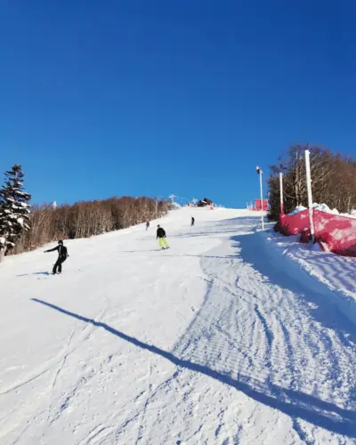 Ski Kraljica
