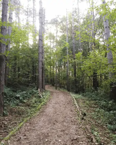 Sportsko-rekreativni centar Borik