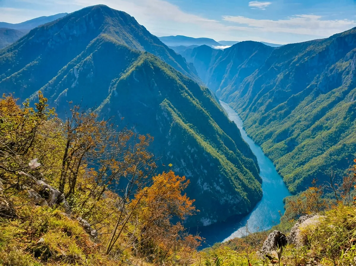 A fascinating aerial view of the blue, winding course of the Drina River in a deep canyon, surrounded by massive, steep mountain cliffs and autumn trees in the foreground