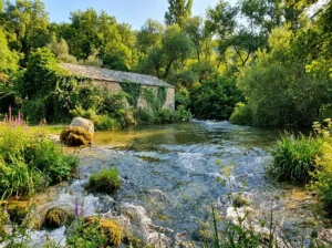 An historic stone watermill overgrown with vines and ivy on the bank of the calm, shallow flow of the Lištica River, in the idyllic and dense forest setting of the Borak excursion area