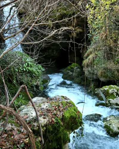 Vrelo Lištice – Borak