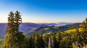 Vučja planina’nın dağ zirvelerini ve doğasını geniş açıyla gösteren kare