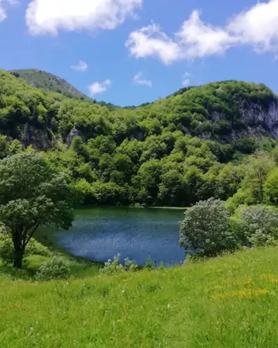 Donje Bare