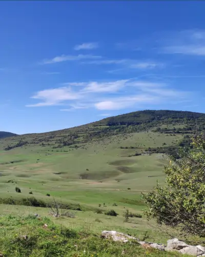 Manjača