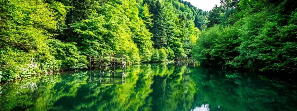 Zavidovići