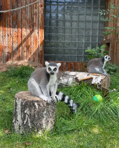 Pionirska dolina – Zoo vrt